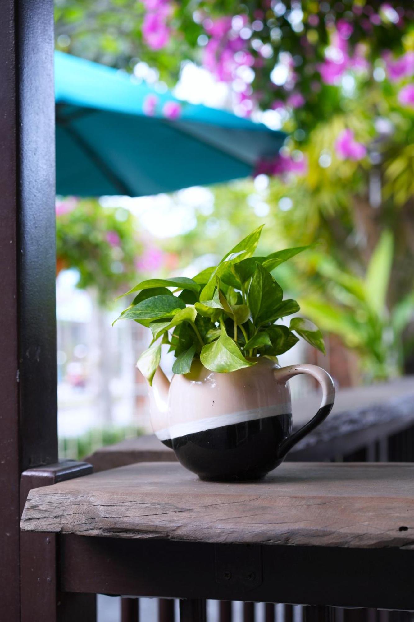 Blooms Boutique Village Hội An Ngoại thất bức ảnh