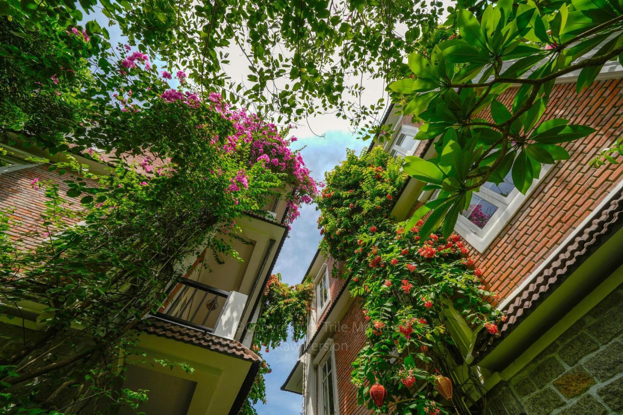 Blooms Boutique Village Hội An Ngoại thất bức ảnh